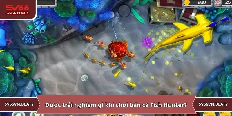 Được trải nghiệm gì khi chơi bắn cá Fish Hunter?