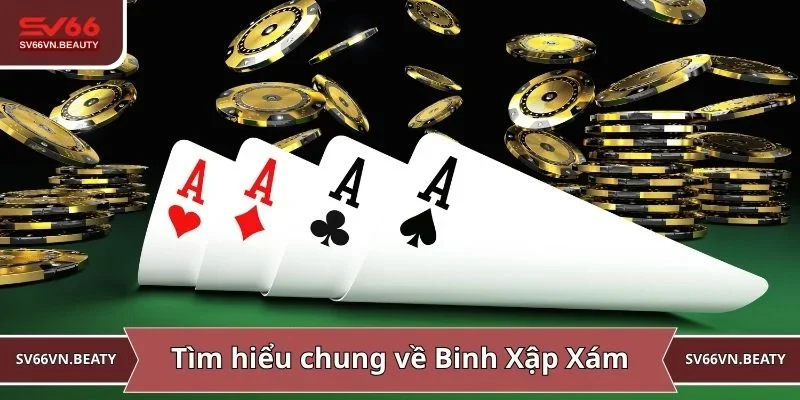Tìm hiểu chung về Binh Xập Xám