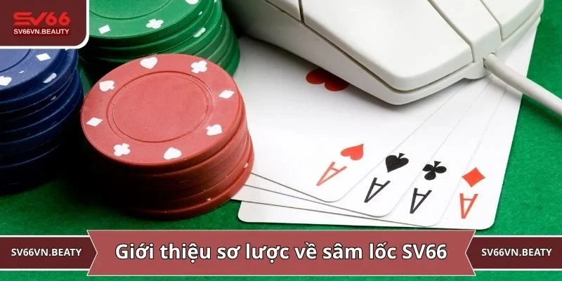 Giới thiệu sơ lược về sâm lốc SV66